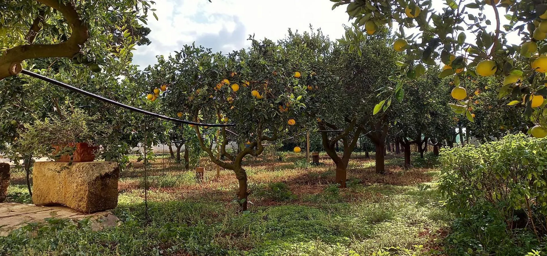 Baglio Spano - Antiche Dimore Di Sicilia Petrosino